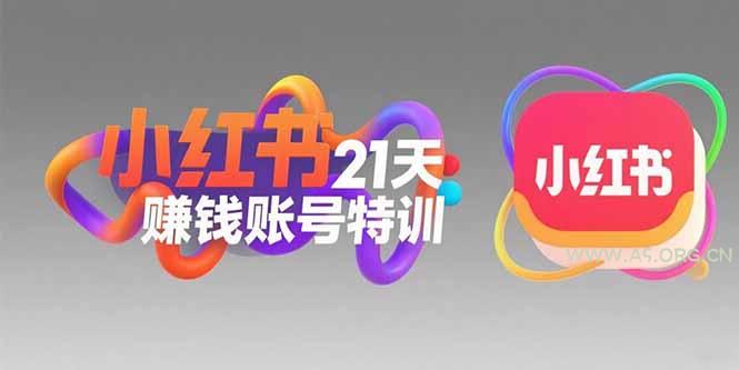 小红书21天赚钱账号特训：黄金定位技巧，高转粉文案创作，科学引流策略-小红泡