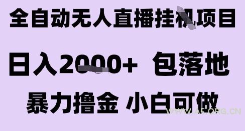 最新全自动抖音无人直播挂G项目，日入2k+ 包落地暴力撸金，小白可做【揭秘】-小红泡