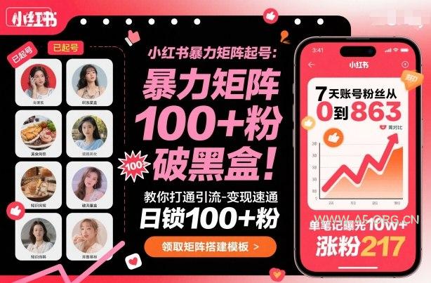 小红书暴力矩阵起号，教你打通引流-变现速通，日锁100+粉，破流量黑盒-小红泡