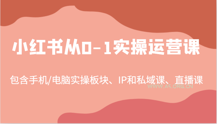 小红书从0-1实操运营课，包含手机/电脑实操板块、IP和私域课、直播课(97节)-小红泡
